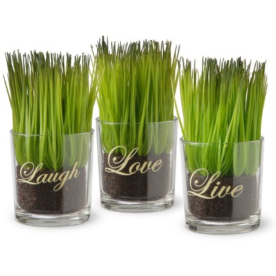 3pc Sprout-Filled Glass Artificial Assortment - National Tree Company