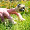 Accoutrements Handipug Finger Puppet (5-Pieces) - 3 of 4