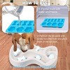 Allforpaws Chill Out - Doy Bowl - Cooling Feast Dog Bowl, 1-cup - 3 of 4