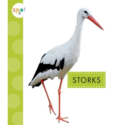 Storks - (Spot Big Birds) by  Lisa Amstutz (Paperback)