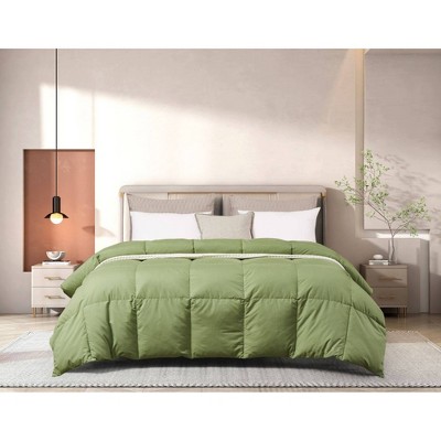 Luxury Solid Light Gray Lightweight Fluffy Microfiber Reversible Summer Comforter Modern Style Alwyn Home Size: Queen