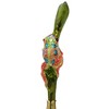 Morawski 5.5 Inch Clip On Frog Cling To Frogfruit Summer Tree Ornament , Ornament Tropical  Colorful Poison Dart (1PC) - 3 of 3