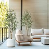 Artificial Olive Tree with Fruit, Fake Potted Topiary Tree with Dried Mos, Artificial Plants with Natural Wood Trunk for Home Office Decor - 4 of 4