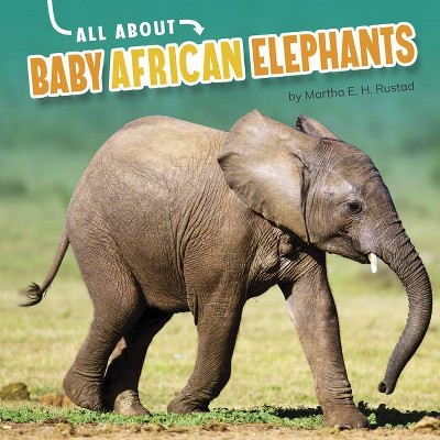 All about Baby African Elephants - (Oh Baby!) by  Martha E H Rustad (Hardcover)