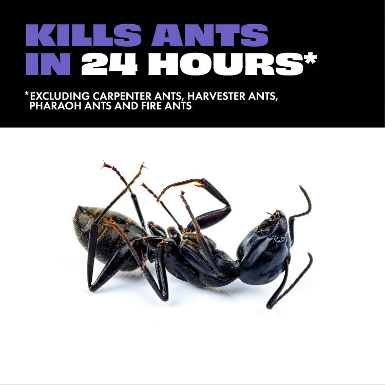 STEM Indoor Ant Bait Trap - 4ct, 3 of 13
