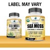 American Standard Supplements Organic Sea Moss, Bladderwrack & Burdock Root Capsules – 120 Capsules - 2 of 4