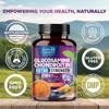 Glucosamine Chondroitin MSM Triple Strength Turmeric Joint Support 2100mg - 60 Capsules;120 Capsules;180 Capsules;240 Capsules - 4 of 4