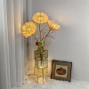 Pastoral Led Floor Lamp Hand-Woven Rattan Wicker Floor Standing Home Accent Lamp - 4 of 4