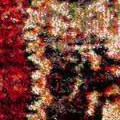 red/multi