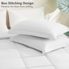 BAGOKIE 2/3 Pieces Comforter Set Box Stitched Bed Set for All Seasons - 3 of 4