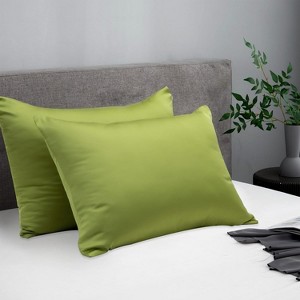 APSMILE Hair and Skin Friendly 100% Mulberry Silk Pillowcases Set of 2 - 1 of 4