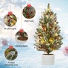 2ft Pre-Lit Tabletop Christmas Tree with 30 Lights and Cement Base, Mini Artificial Xmas Tree - 4 of 4