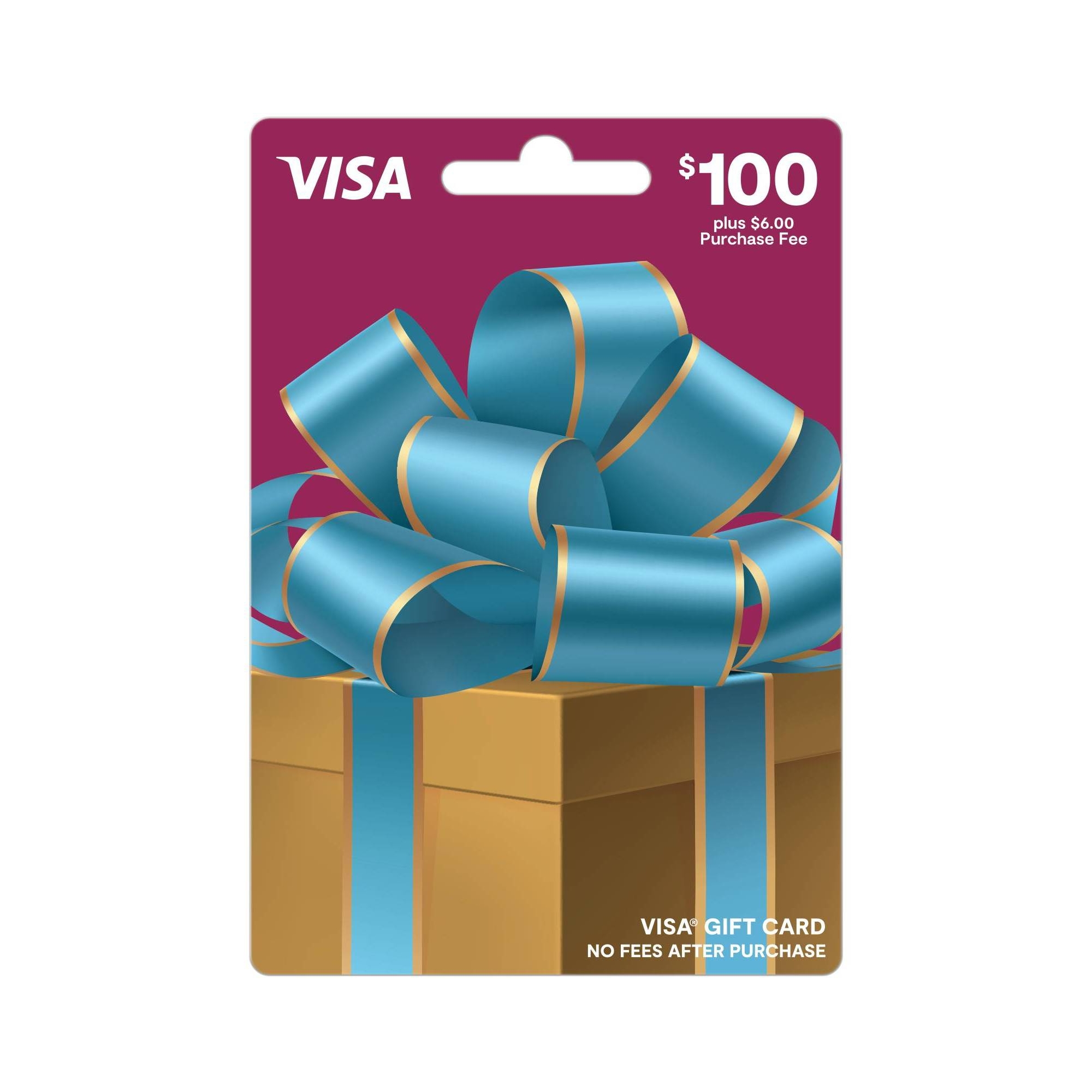 Visa Gift Card - $100 + $6 Fee