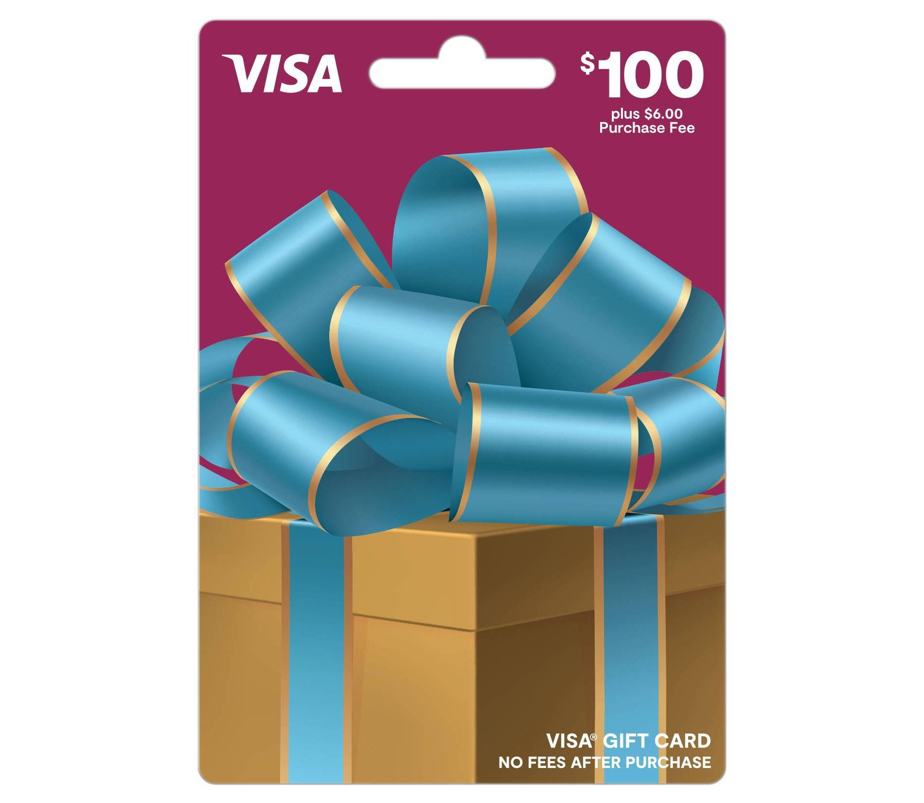 Visa Gift Card - $100 + $6 Fee