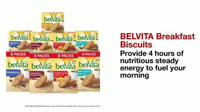  Belvita Cinnamon Brown Sugar Biscuits, 25 Count in Packs of 4  each, 44 Oz : Grocery & Gourmet Food