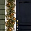6' Glittery Bristle Pine Garland Battery Operated  White LED Lights - National Tree Company - 2 of 4