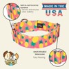 Country Brook Petz HossFit Jr Wide Premium Dog Collar - Tasty Collection - 4 of 4