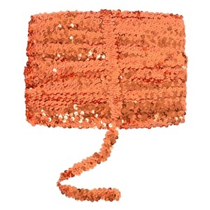 Elastic Sequin Trim, 0.8 Inch 2 Row Flat Metallic Paillette Sequin Ribbon, Glitter Sequin Strip DIY Craft Decor, 25 Yards - 1 of 4