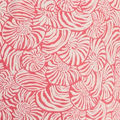 spiraling shells