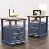 Dyonery Farmhouse Nightstand 18" Blue End Table 2-piece with Charging Station 2 Drawers Storage Open Shelf, for Bedroom, Living Room, White - 2 of 4