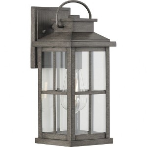 Progress Lighting Williamston 1-Light Antique Pewter Outdoor Wall Lantern with Clear Glass - 1 of 4