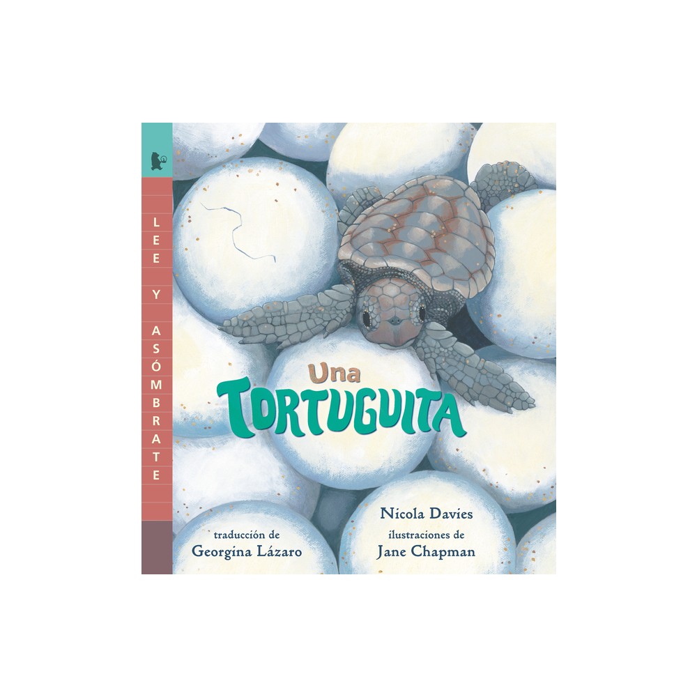 Una Tortuguita - (Read and Wonder) by Nicola Davies (Paperback)