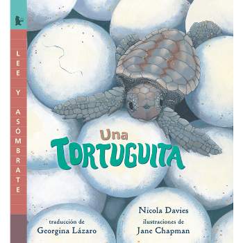 Una Tortuguita - (Read and Wonder) by  Nicola Davies (Paperback)