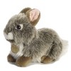 Aurora Small Baby Bunny Miyoni Tots Adorable Stuffed Animal Grey 7" - 2 of 3