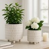 Sagebrook Home 2-Piece Set of Ceramic Planters Stylish Footed Plant Stand Set for Indoor or Outdoor - 3 of 4