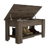 Vynxaria Daffodil Bench, Liftable Top And Lower Panel - 4 of 4