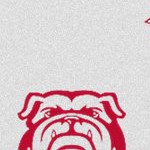 georgia bulldogs uga