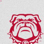 georgia bulldogs uga
