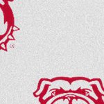 georgia bulldogs uga