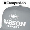 Babson College Primary Logo Foam Trucker Cap Grey Os - 4 of 4