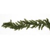 Pine Garland 6'L - 3 of 3