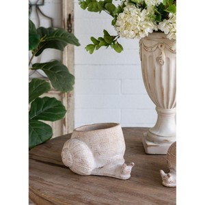 Okak 9x5.5x5.7 Inches Sand and Cement Conch Shell Planter Textured Finish for Indoor and Outdoor Use, Decorative Plant Pot - 1 of 4