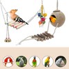 Unique Bargains Bird Toys Coconut Hideaway with Ladder Swing - 3 of 4