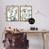 Stupell Industries Collage of Translucent Plants 2pc Floating Frame Art Set - 3 of 4