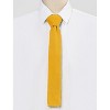 Allegra K Men's Knit Self-Tied Solid Color Skinny Square Tipping Ties - 2 of 4