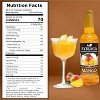 Syruvia Mango Syrup - 25.4 fl oz. Premium Flavoring Syrup For Coffee - 3 of 4