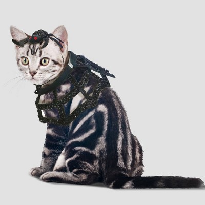 gray cat costume for halloween