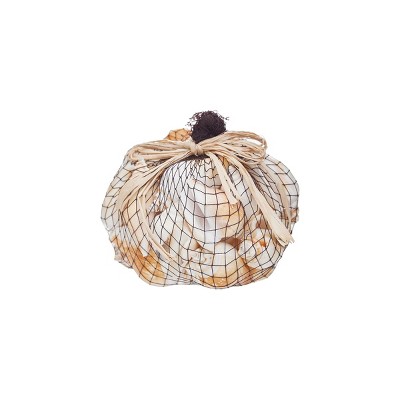 Beachcombers Brown Shell Bundle