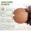 Envelor Coco Coir Seed Starter Pellets for Seed Starter Tray - 2 of 4