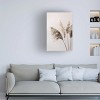 Trademark Fine Art - Mareike Bohmer  Grass 24X Canvas Art - 2 of 4