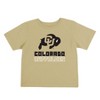 NCAA Colorado Buffaloes Toddler Boys' 2pk T-Shirt - 3 of 4