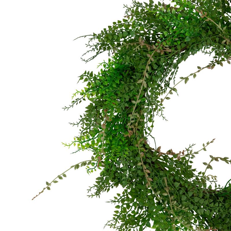 Northlight Mixed Boxwood and Berry Artificial Wreath, 24-Inch, Unlit, 3 of 4