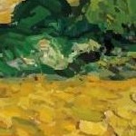 clear push pins bundle