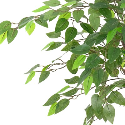 7ft Artificial Ficus Tree with White Plastic Pot