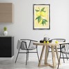 Stupell Industries Hanging Lemons Country Charm Black Framed Floater Canvas Wall Art - 2 of 4
