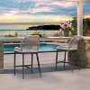PURPLE LEAF 2 Pieces Bar Stools Patio Modern Rattan Barstools Aluminum Woven Tall Bar Chairs with Cushions for Outdoor Kitchen Island Garden - 2 of 4